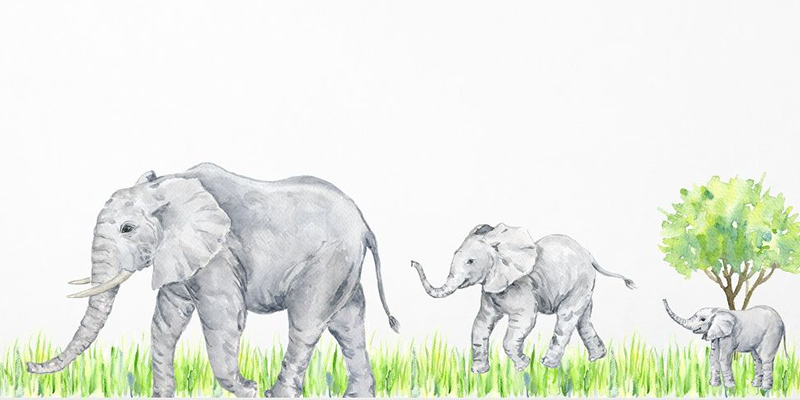 Elegant elephant family wall stickers featuring adult and baby elephants walking through grass, perfect for nature-themed room décor.