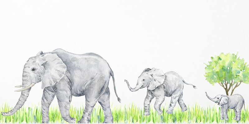 Watercolor wall decal featuring an elephant family walking through grass with a tree in the background. Types of wall decals.