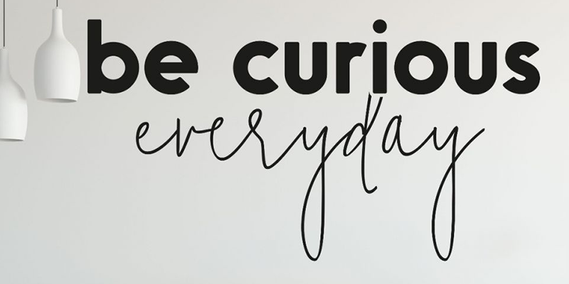Black "Be Curious Everyday" office wall decal with modern font, perfect for inspiring creativity in workspaces.