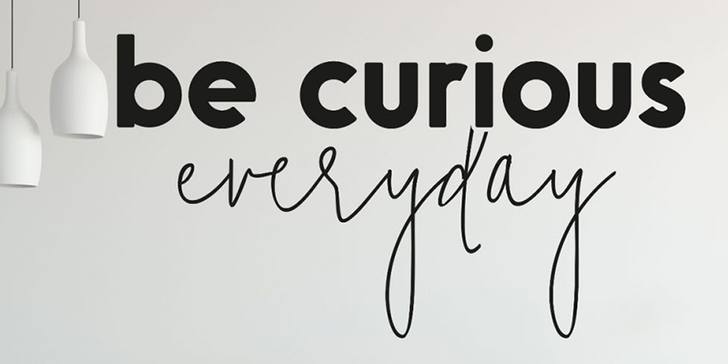 Black wall decal with bold text "be curious" and cursive "everyday," adding motivation and style to interior decor.